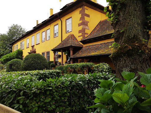Schloss Mahlberg - Thumbnail