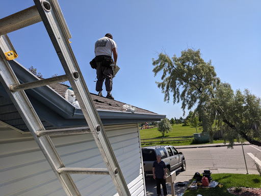 Roofer Don - Visual