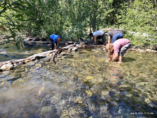 Northwest Survival School LLC - Thumbnail