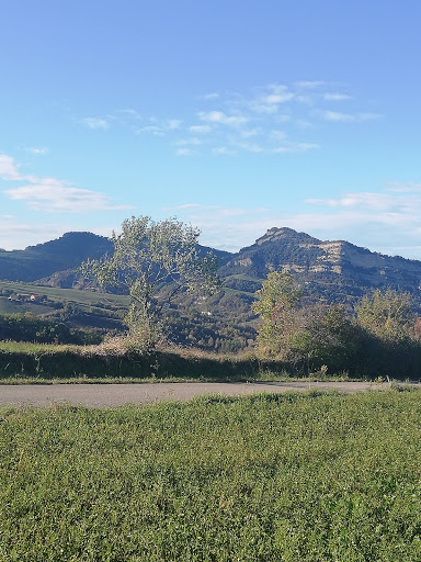 Sabbioni - Visual