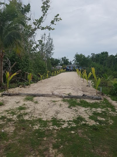 Photos of Conch Sound Flats