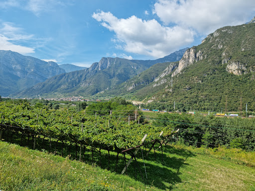 Sdruzzinà-Loc.Campagnola