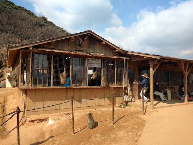 Iwatayama Monkey Park