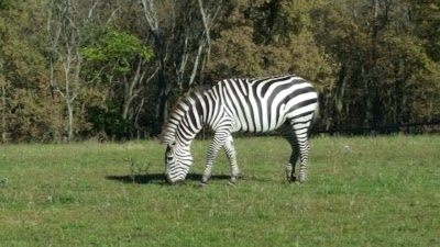 Lawrence Nature Park