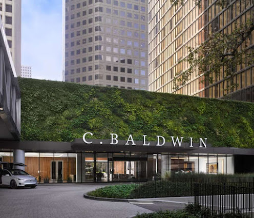 Photo of C. Baldwin, Curio Collection by Hilton
