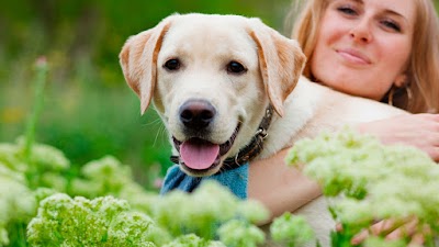 Porter Ridge Veterinary Clinic