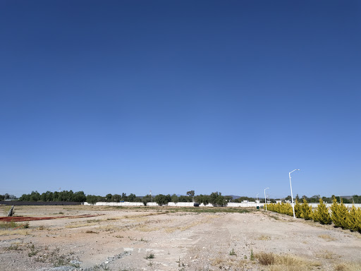 Bodegas Purísima de Cubos