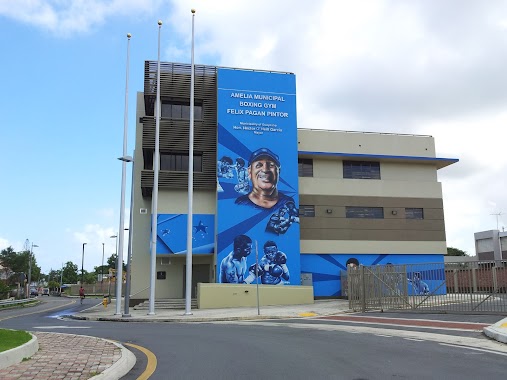 Amelia Municipal Boxing Gym Felix Pagán Pintor, Author: Reynaldo Santos