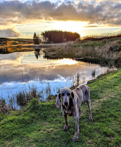 Neilston Pad - Thumbnail