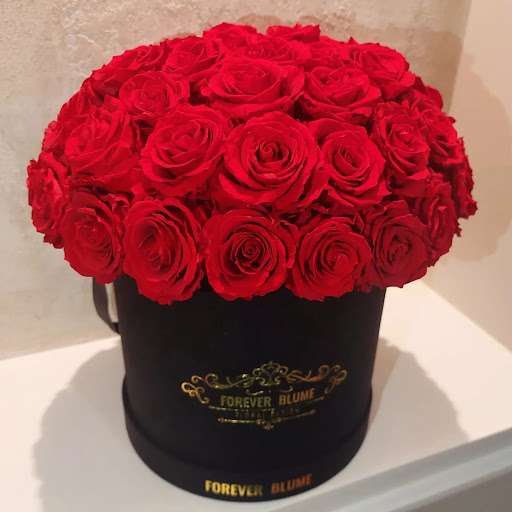 Forever Blume