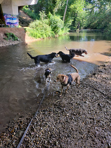 Photo de ECC86 - Éducateur Canin Poitiers &amp; Comportementaliste à Avanton (86170)