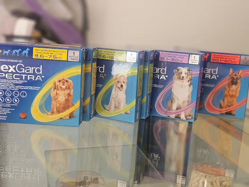 Clínica Veterinaria y Mascotas Miny - Thumbnail