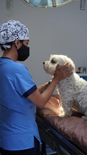 Eye Care Hospital de Oftalmología Veterinaria Polanco