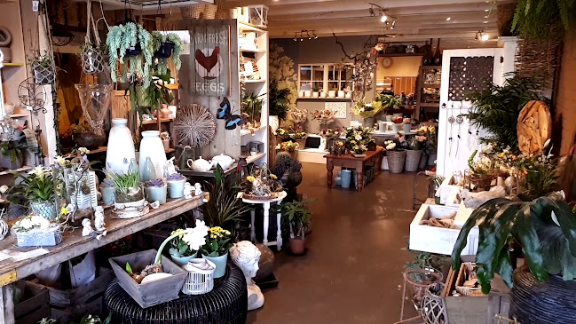 Beoordelingen van Bloemen & Kadoshop "Het Miniatuurtje" in Assen - Bloemist