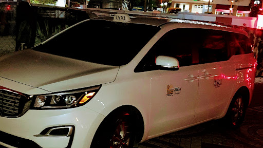 Zebras transportation taxi