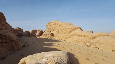 Photos of Wild Wadi Rum