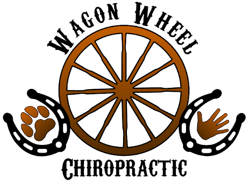 Wagon Wheel Chiropractic - Thumbnail