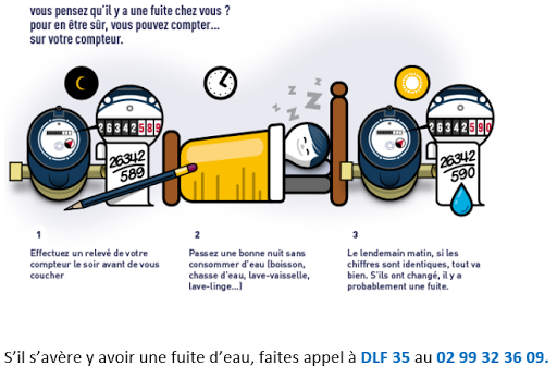 DLF 35 - Visual