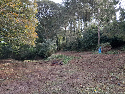 Honiton CUB (Community Use Building) - Thumbnail