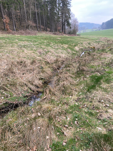 Quelle der Nette (Eifel) - Thumbnail
