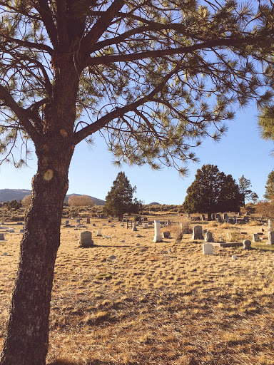 Paisley Cemetery - Thumbnail