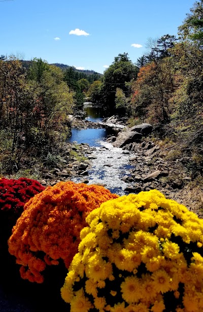 Campton pond and dam