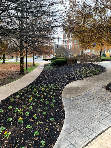 Cradle of Country Music Park Gallery - United States