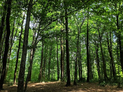 Bentler National Park