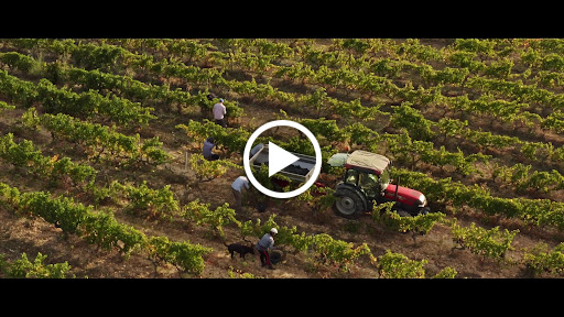 Photo de Cave coopérative La Vinsobraise à Vinsobres (26110)