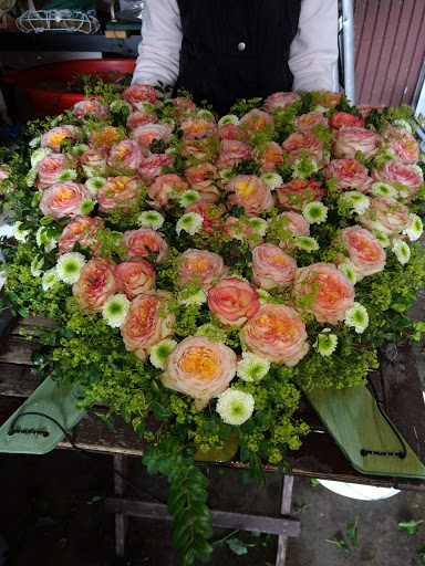 Floristik Wilcke - Die Blumenwerkstatt in Langwedel - Thumbnail