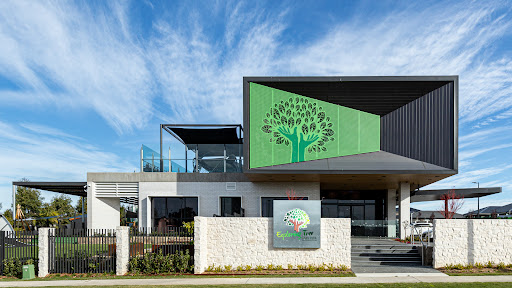 Exploring Tree Oran Park
