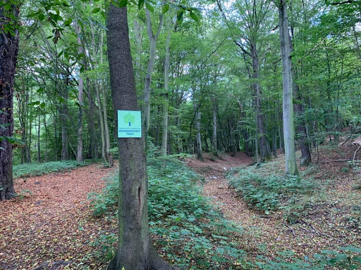 Thieß Bestattungen Elbingerode - Visual