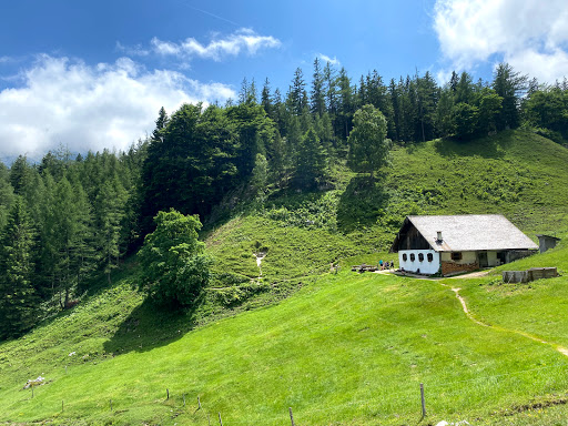 Halsalm - Visual
