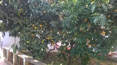 Photos of Hostel Albania