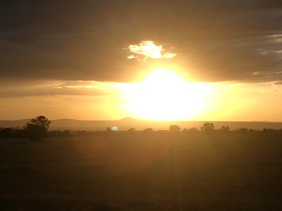 Photos of Ol Pejeta Conservancy, Rongai Main Gate