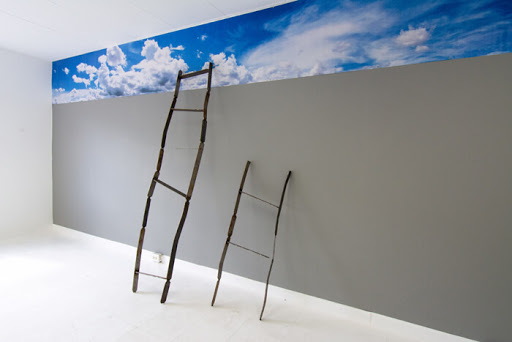 Xolo Gallery - Visual