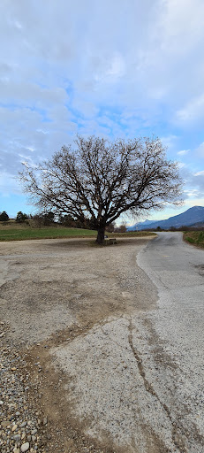 Maçonnerie Provence 04 - Thumbnail