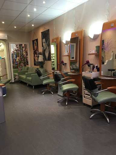 Salon Dumont - Thumbnail