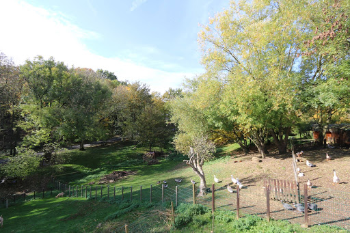 Photo 5 - La Ferme de Bel Air