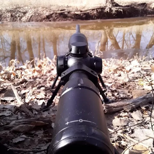 Cheney Wildlife Area- Fish Cove Campground Gallery - United States
