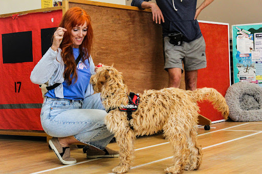 Animal Kind Dog Training and Behaviour - Thumbnail
