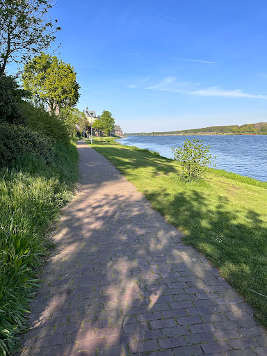 Maasboulevard Kessel - Thumbnail