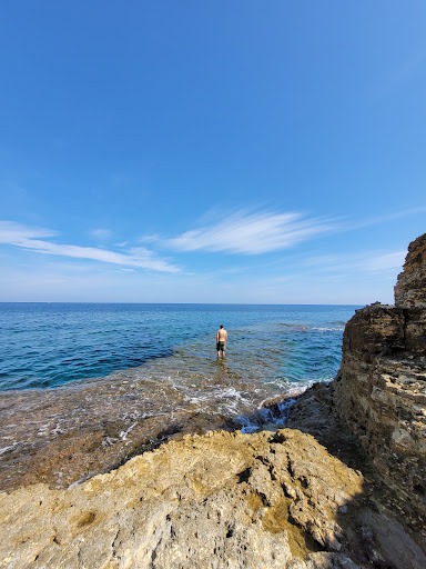 Punta hilis - Visual