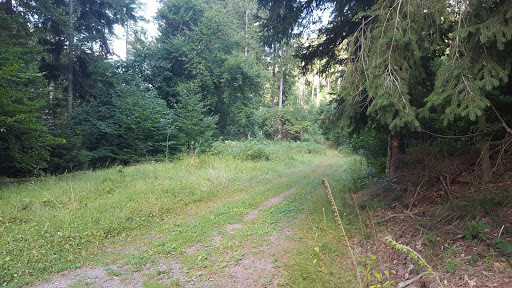 Langebachtal - Visual