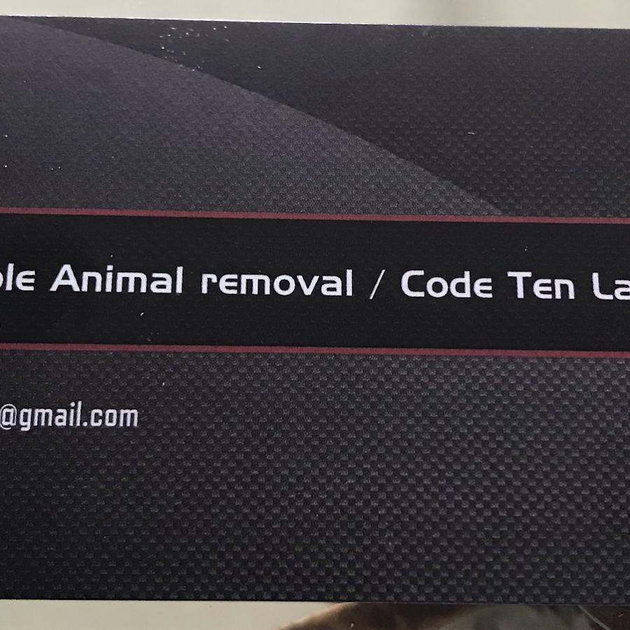 Affordable Animal Removal