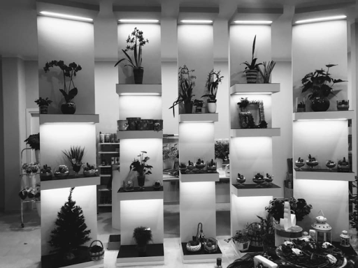 Flowers & Party