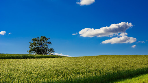 Bespoke Property Purchase