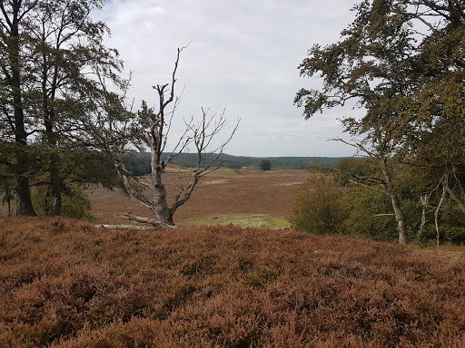 Maglehem naturreservat - Thumbnail
