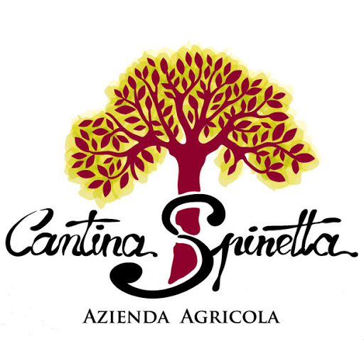 Cantina Spinetta - Visual