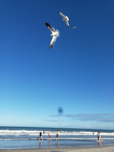 Live Sunrise Beach Yoga